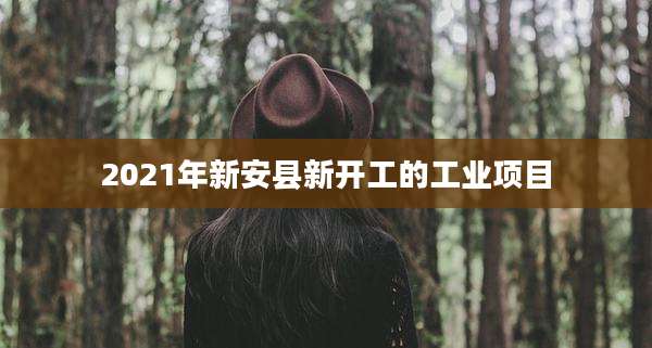 2021年新安县新开工的工业项目