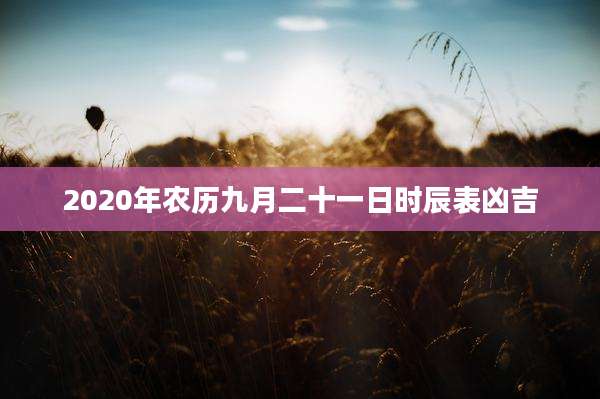 2020年农历九月二十一日时辰表凶吉