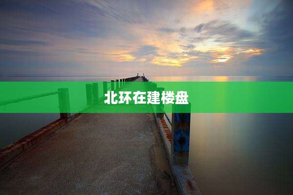 北环在建楼盘