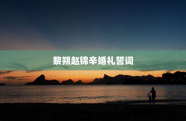 黎朔赵锦辛婚礼誓词