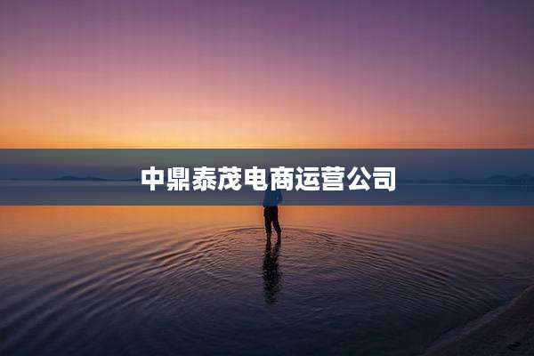 中鼎泰茂电商运营公司