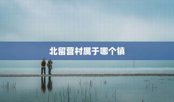 北留营村属于哪个镇