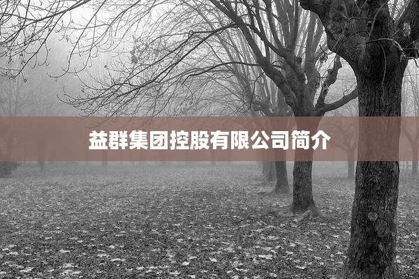 益群集团控股有限公司简介