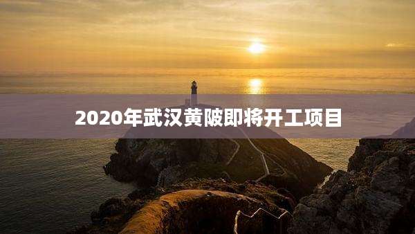 2020年武汉黄陂即将开工项目