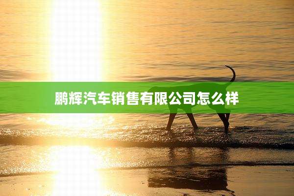 鹏辉汽车销售有限公司怎么样