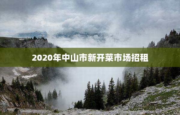 2020年中山市新开菜市场招租
