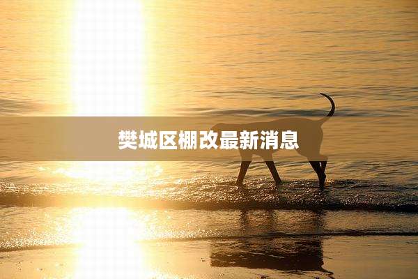 樊城区棚改最新消息