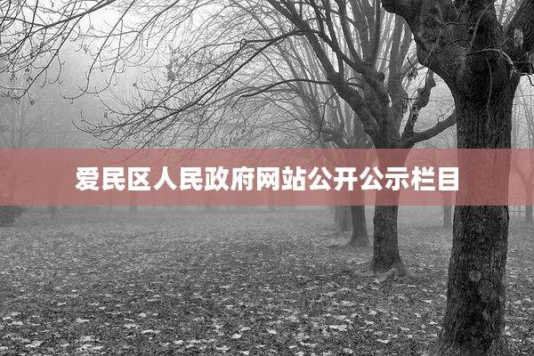 爱民区人民***网站公开公示栏目