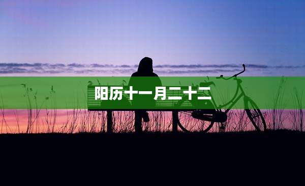 阳历十一月二十二