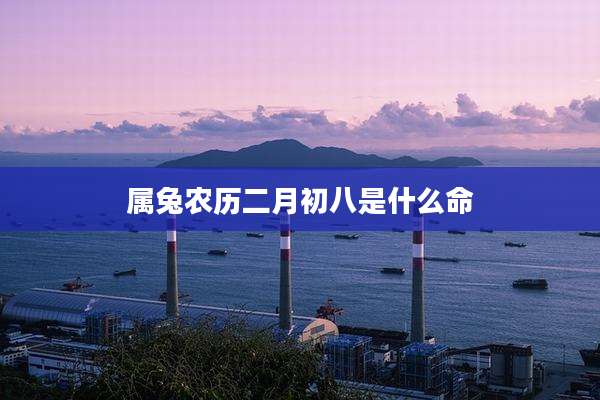属兔农历二月初八是什么命