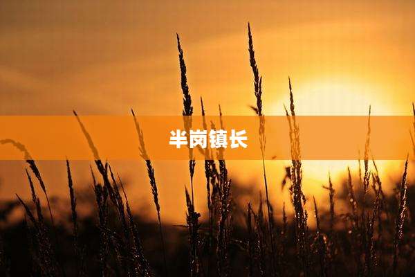 半岗镇长