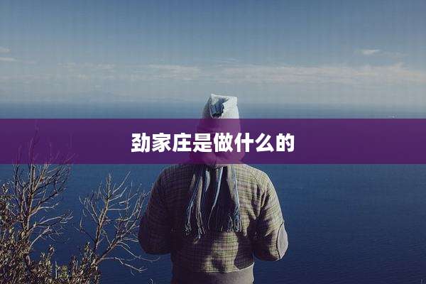 劲家庄是做什么的