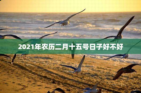 2021年农历二月十五号日子好不好