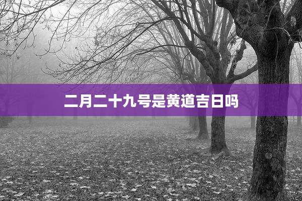 二月二十九号是黄道吉日吗