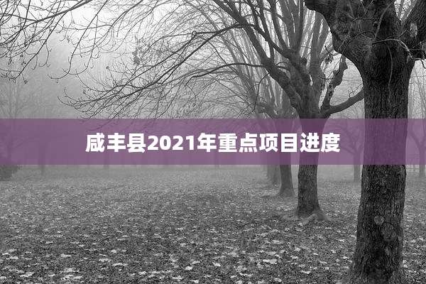 咸丰县2021年重点项目进度