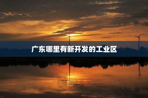 广东哪里有新开发的工业区