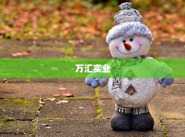 万汇实业