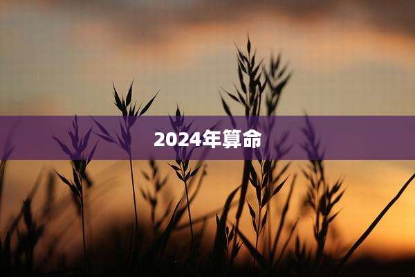 2024年算命