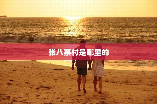 张八寨村是哪里的