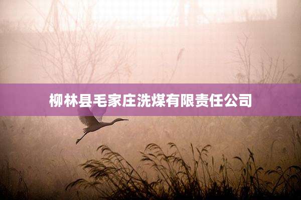柳林县毛家庄洗煤有限责任公司