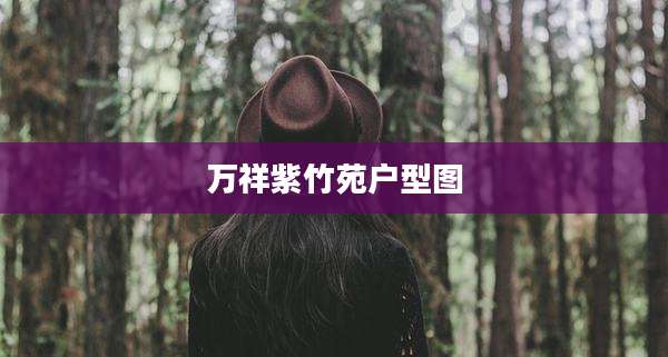 万祥紫竹苑户型图