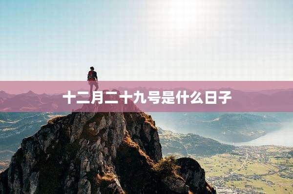 十二月二十九号是什么日子