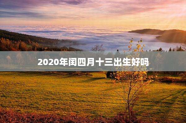 2020年闰四月十三出生好吗