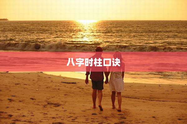 八字时柱口诀