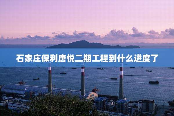 石家庄保利唐悦二期工程到什么进度了