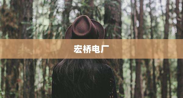 宏桥电厂
