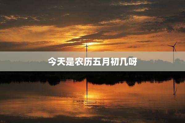 今天是农历五月初几呀