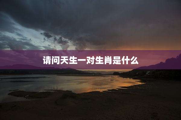 请问天生一对生肖是什么