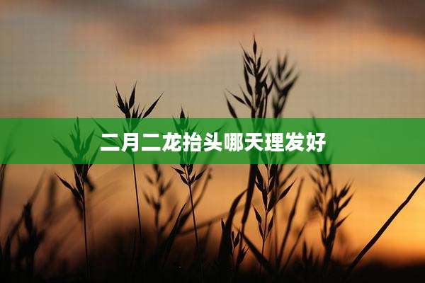 二月二龙抬头哪天理发好