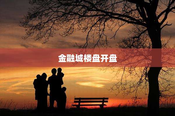 金融城楼盘开盘