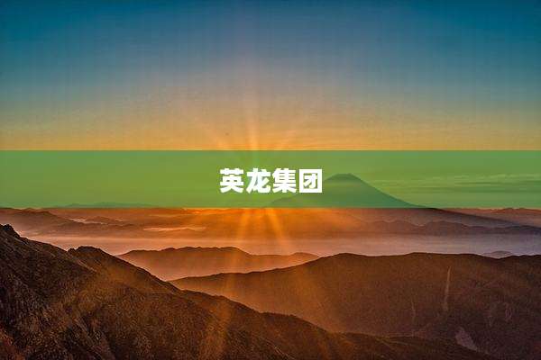 英龙集团