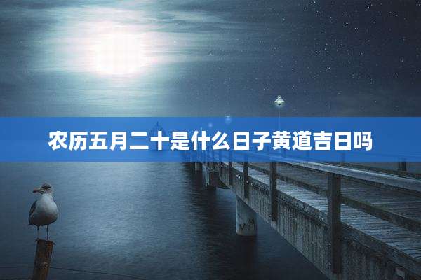 农历五月二十是什么日子黄道吉日吗