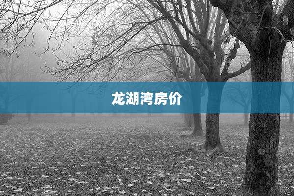 龙湖湾房价