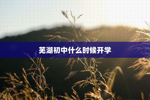 芜湖初中什么时候开学