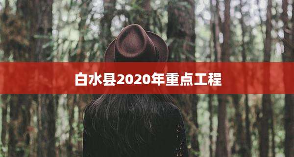 白水县2020年重点工程