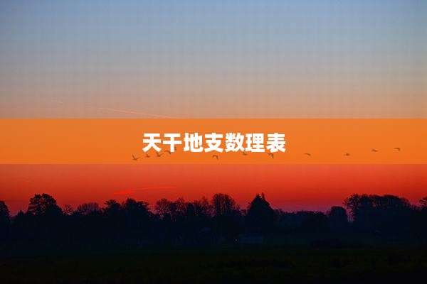 天干地支数理表