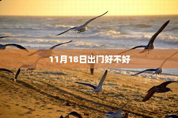 11月18日出门好不好