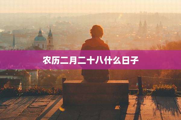 农历二月二十八什么日子