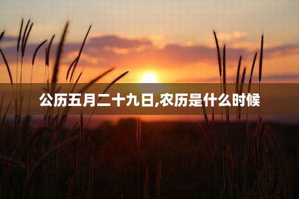 公历五月二十九日,农历是什么时候