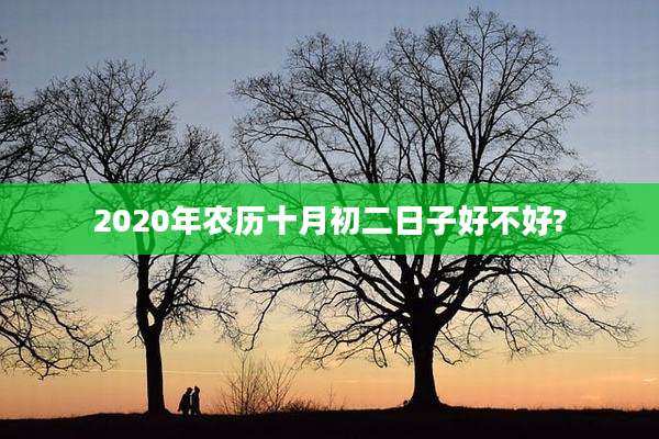 2020年农历十月初二日子好不好?