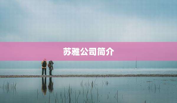 苏雅公司简介
