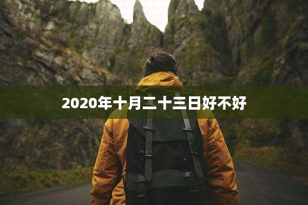2020年十月二十三日好不好