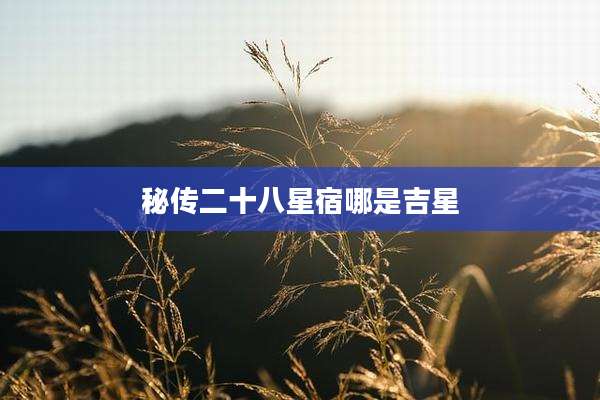 秘传二十八星宿哪是吉星