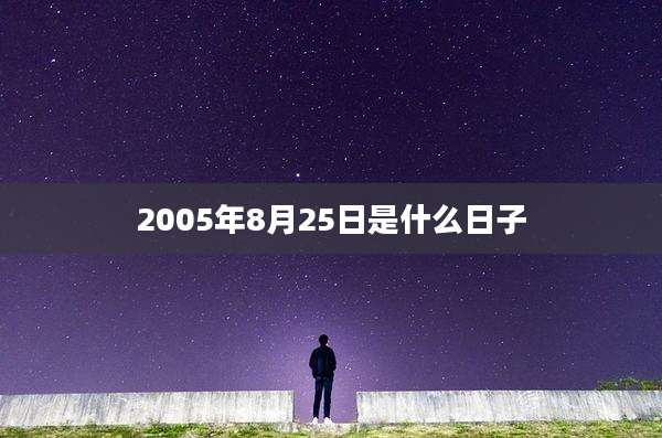 2005年8月25日是什么日子