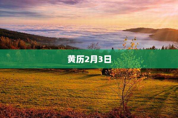 黄历2月3日