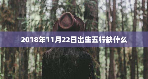 2018年11月22日出生五行缺什么
